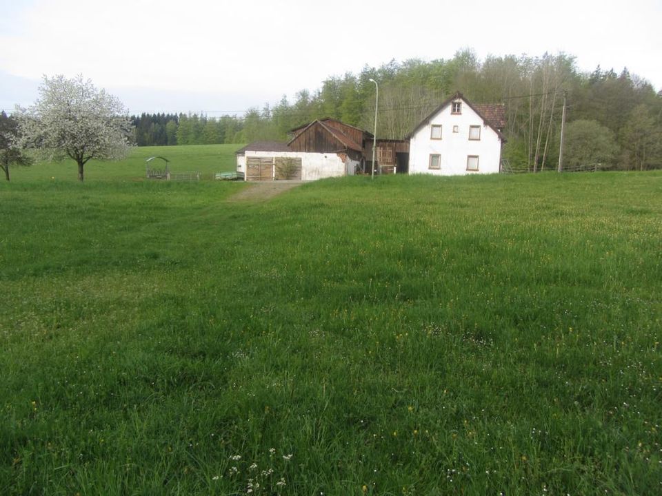 Landwirtschaftliche Fläche Naturpark Hessenreuther Wald in Pressath