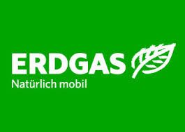 Reparaturen am Erdgasfahrzeug Volkswagen, Audi, Seat, Skoda in Ostrhauderfehn