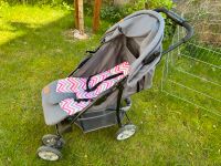 Buggy Lionelo Emma plus pink Niedersachsen - Schellerten Vorschau