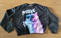 Kurzer Pullover anthrazit - Coole Katze H&M Mecklenburg-Vorpommern - Greifswald Vorschau