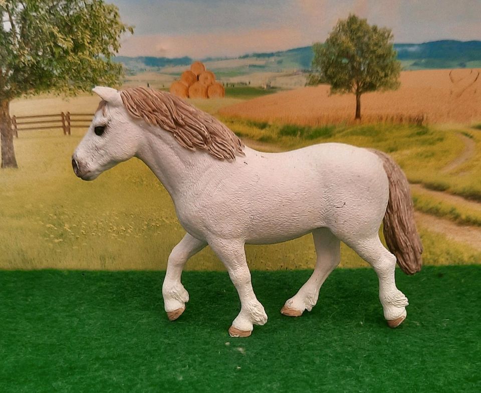 Schöne Welsh Ponystute von Schleich in Remseck am Neckar