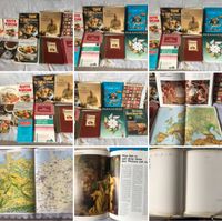 Bücher viele verschiedene:Kochbücher;FamlienAlbum;Kreuzstich;Roma Dresden - Innere Altstadt Vorschau