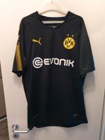 BVB Trikot, Reus, Größe XL Nordrhein-Westfalen - Herzogenrath Vorschau