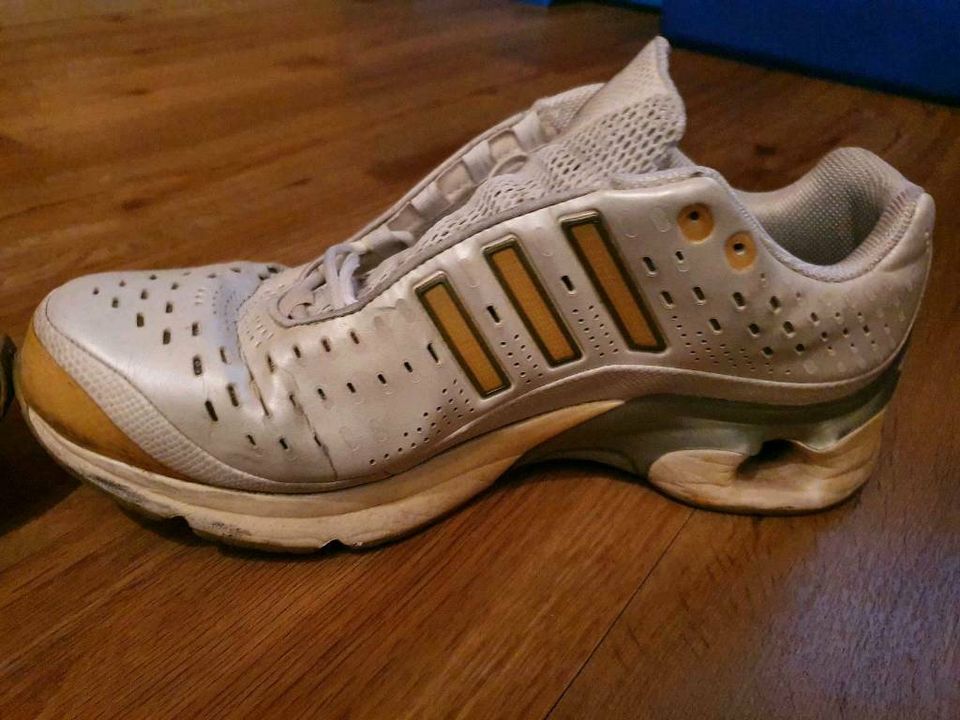 Adidas 1.1 Intelligence One Laufschuh gr 44 2/3  Perlmutweiß in Scheyern