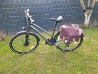 Trekking Damen Fahrrad Breezer Liberty Nordrhein-Westfalen - Velbert Vorschau