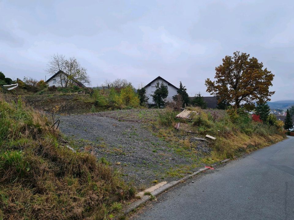 Grundstück Baugrundstück voll erschlossen mit Zufahrstweg in Hatzfeld (Eder)