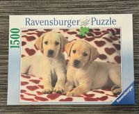 Ravensburger Puzzle 1500 Teile Labrador Welpen Hunde Retriever Nordrhein-Westfalen - Dörentrup Vorschau