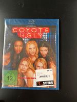 Coyote ugly blue-ray dvd neu ovp saturn Stuttgart - Stuttgart-Mitte Vorschau