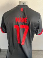 Bayern Champions League Trikot Nr.17 Mané grau Gr.M Baden-Württemberg - Weil im Schönbuch Vorschau