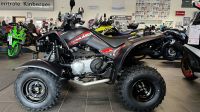 Kymco Maxxer 300 T Offroad Lof Bayern - Jengen Vorschau