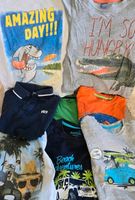 8 x T'Shirts Shirts Hai Krokodil Paket 110 116 Jungen 1 Nordrhein-Westfalen - Königswinter Vorschau