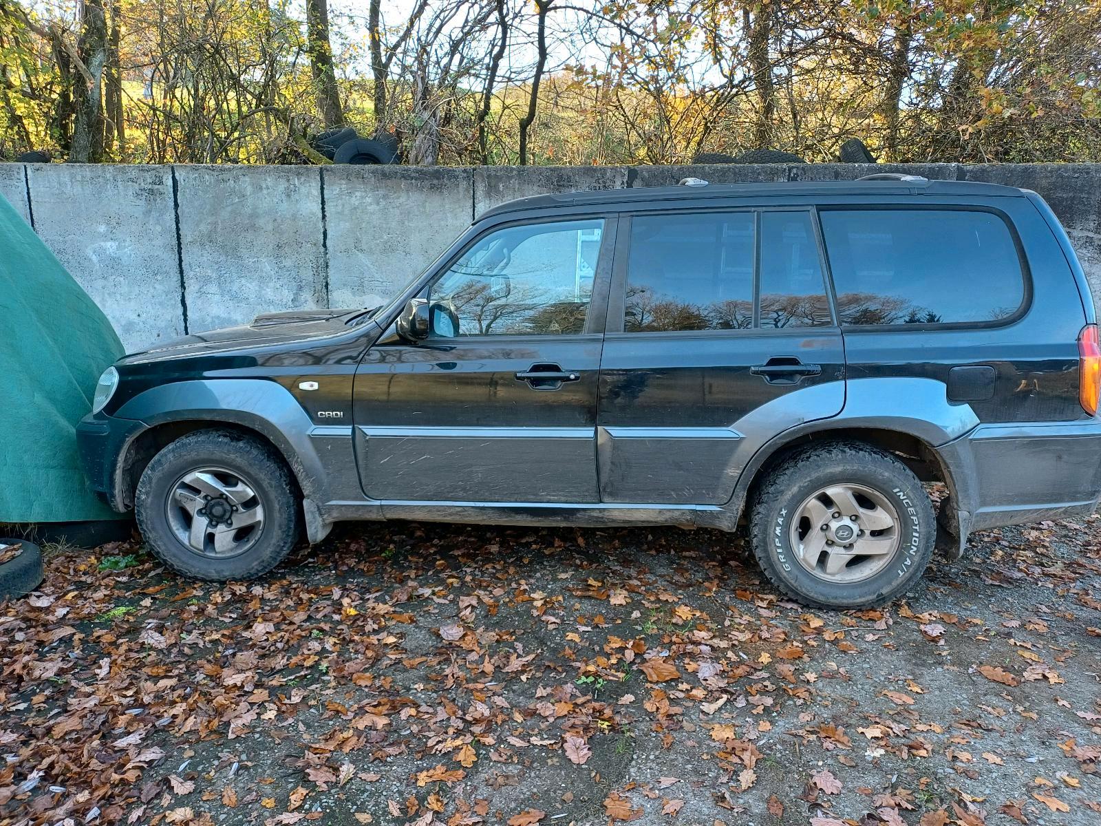 Abbildung des Autos Hyundai  Terracan  2,9