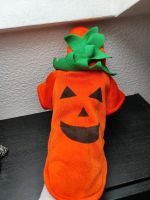 Kleidung / Outfit / Halloween für Hunde/Katzen Hessen - Gießen Vorschau