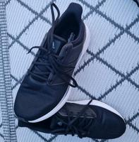 Sportschuh Adidas Nordrhein-Westfalen - Hennef (Sieg) Vorschau