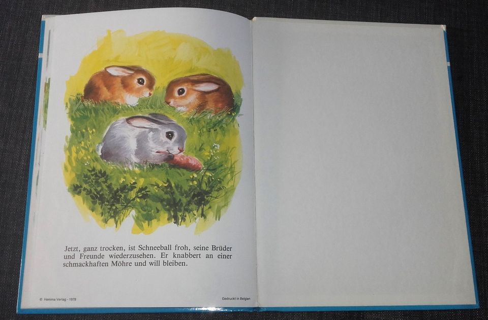 altes Kinderbuch "Ich bin Schneeball" S. 2675/8 Hemma Verlag 1978 in Mainz