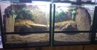 Terrarium 2x für Bodenbewohner Maße sind: 35x35x35 Nordrhein-Westfalen - Bad Salzuflen Vorschau