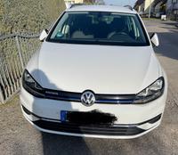 Volkswagen Golf 1.5 TGI BlueM. DSG Comfortline Variant ... Brandenburg - Seelow Vorschau
