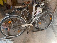 Damen Diamant Fahrrad Sportrahmen 1960 Brandenburg - Potsdam Vorschau