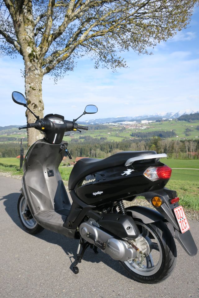 Peugeot Kisbee 50ccm Roller,klein u.handlich,Top Zust., zieht gut in Weiler-Simmerberg