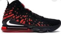 Nike  LeBron 17 Basketball Schuh oder Sportschuh Hessen - Kassel Vorschau