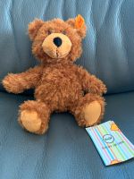 Steiff Charly Schlenker Teddybär 23 cm Kr. Altötting - Marktl Vorschau