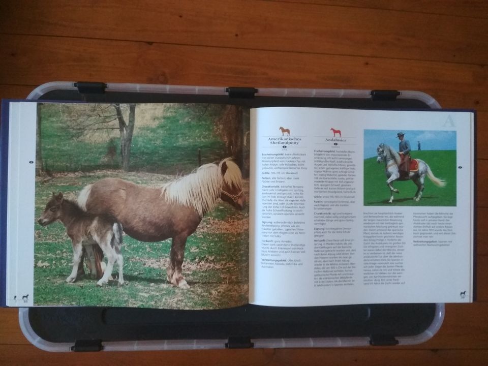 Enzyklopädie der Pferderassen in Marienberg