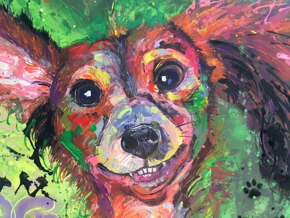 Original Bild Gemälde Hund Dackel funny Dog Graffiti Hundegesicht in Porta Westfalica