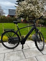 SCHER Herren Trekking E-Bike VIATOR 6.0i grau 28 Zoll Niedersachsen - Emden Vorschau