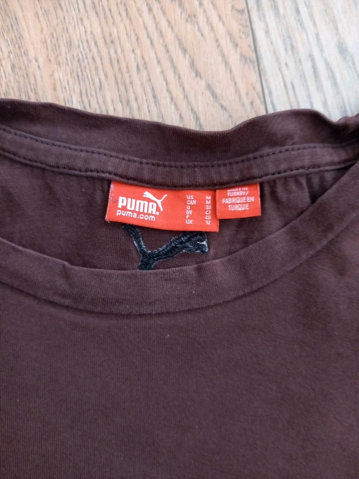 Puma Damen Shirt Größe M braun in Malente