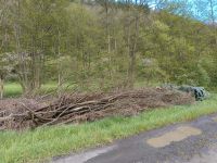 Hackgut Hackschnitzel Material Rheinland-Pfalz - Cronenberg Vorschau