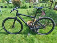 City Bike Vitus Dee 290VR Nexus 29" Alurahmen Nabenschaltung Nordrhein-Westfalen - Gummersbach Vorschau