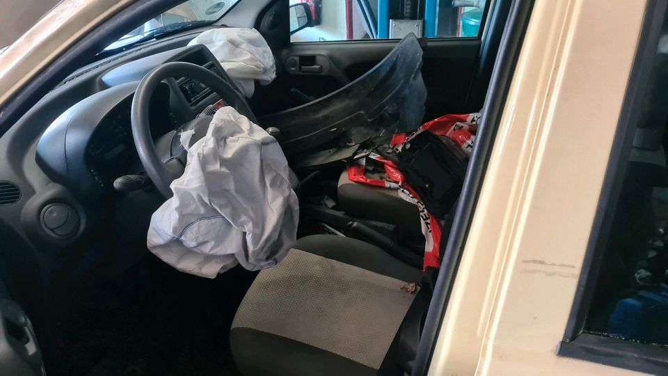 Fiat Panda Tür hinten Fahrertür Beifahrertür Heckklappe in Gevelsberg