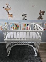 Babybay Boxspringbett Maxi Baden-Württemberg - Breisach am Rhein   Vorschau