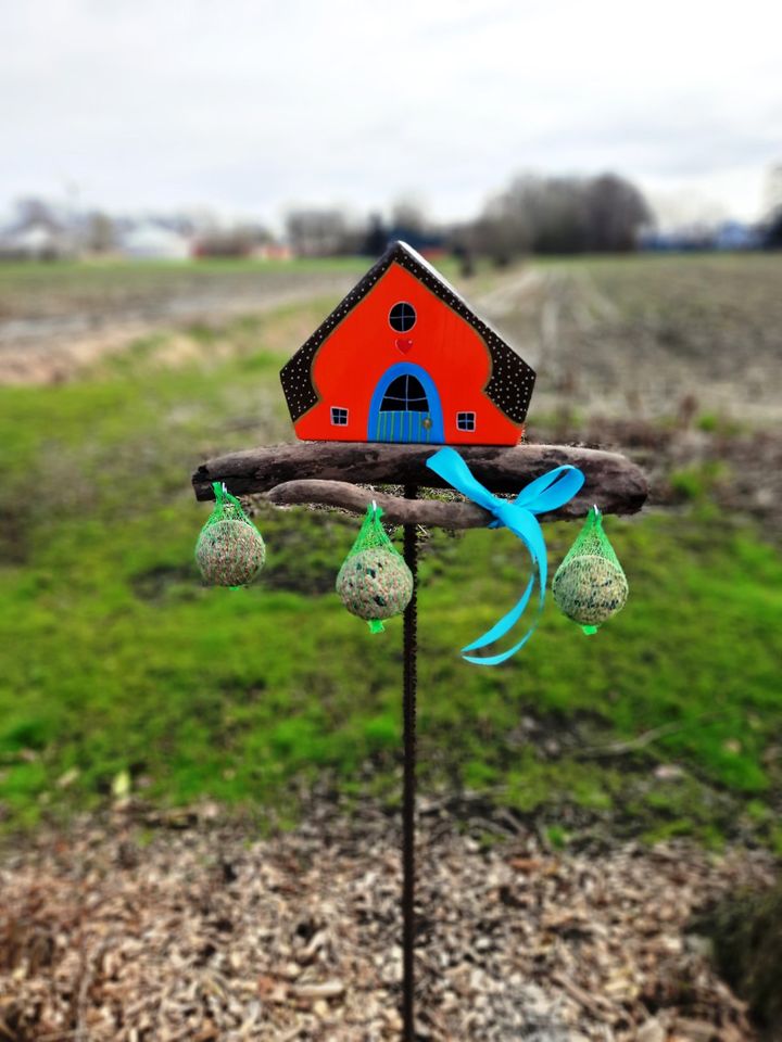 Ferienwohnung Tier- und Freizeitpark Thüle, Thülsfelder Talsperre in Friesoythe