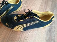 Spikes Laufschuhe puma Sachsen - Freiberg Vorschau