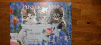 Puzzle 1000 Teile Katzenbabys ! Top Zustand ! Hessen - Babenhausen Vorschau