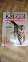 Helga Hofmann Katzen richtig verstehen Buch Sachsen - Bernsdorf Vorschau