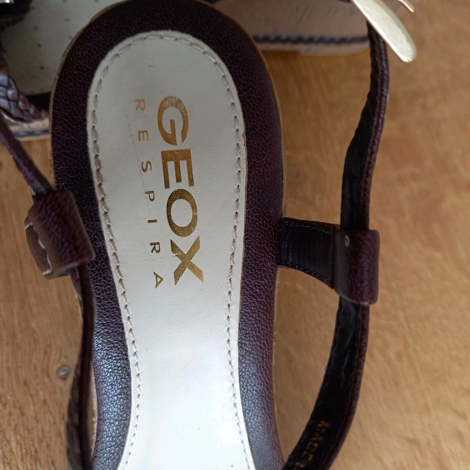 Geox Ledersandale, 2x getragen,  Euro 139,- in Lügde