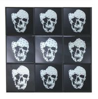 Wandbild Multi Skull Bild Wandspiegel Spiegel Wohnzimmer 60x60cm Nordrhein-Westfalen - Kreuzau Vorschau