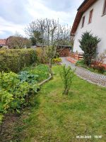 Rasen mähen, Hecke schneiden, Gartenpflege, Hausmeisterservice Bayern - Augsburg Vorschau