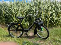 Velosolex 3800 sehr schön fast neu Nordrhein-Westfalen - Harsewinkel Vorschau