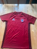 Trikot Training FC Bayern Größe S Westerwaldkreis - Luckenbach Vorschau