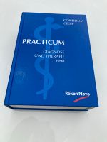 Practicum Diagnose und Therapie 1998 Dresden - Prohlis-Nord Vorschau