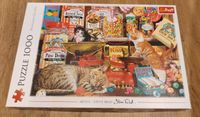 1000 Teile Puzzle Trefl Katzen Süßigkeiten Cats Sweets Candy Read Bayern - Gochsheim Vorschau