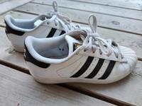 Sneaker Adidas Superstar Größe 38 München - Laim Vorschau