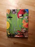 Buch Zauberklang des Dschungels Hessen - Schöffengrund Vorschau