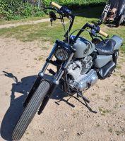 Harley Davidson XL883N Brandenburg - Jüterbog Vorschau