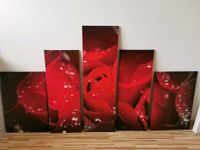 Wandbilder 5 er Set Rose Leinwand Blumen Kunstdrucke Wohnzimmer Nordrhein-Westfalen - Neuss Vorschau