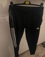 Adidas Toro Jogger S Bonn - Auerberg Vorschau