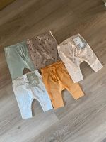 H&M 5er Baumwollhosen Hosen Set Gr.56 NEU Bielefeld - Sennestadt Vorschau